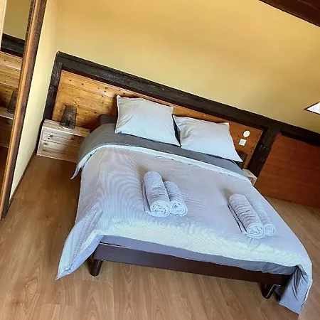 L'alsacien Cosy : Duplex - Netflix - Wifi/fibre Mulhouse