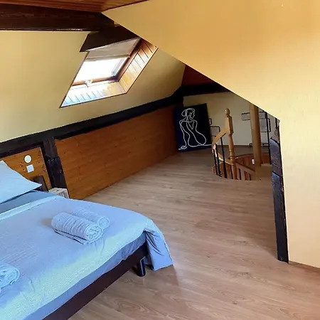 Lägenhet L'alsacien Cosy : Duplex - Netflix - Wifi/fibre *