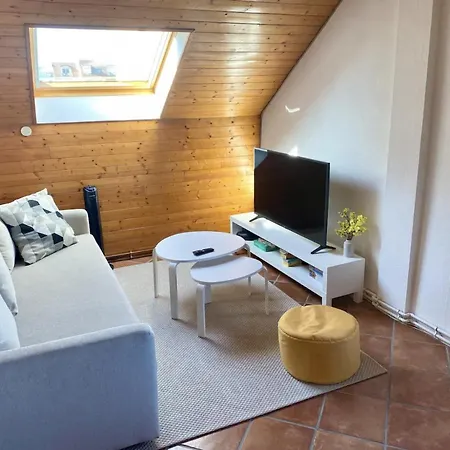 L'alsacien Cosy : Duplex - Netflix - Wifi/fibre Mulhouse