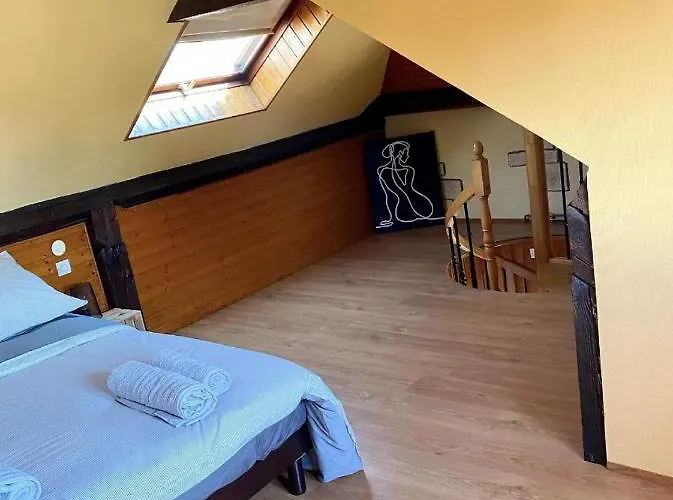 Appartement L'alsacien Cosy : Duplex - Netflix - Wifi/fibre *