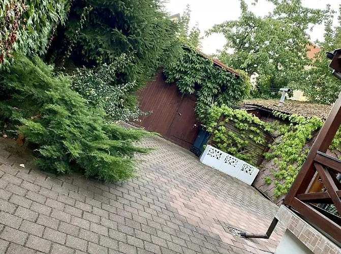 L'alsacien Cosy : Duplex - Netflix - Wifi/fibre Appartement *